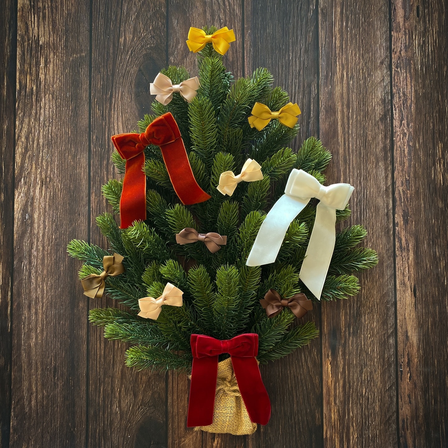 【ロングセラー】愛され続ける Item ⁡発売以来、大人気のAmaia Kidsのヘアアクセサリー⁡ラインナップは3タイプ🫧 ヘアバンド　 ヘアクリップ ヘアゴム⁡イルミネーションのようなYellow、クリスマスカラーのRedやGreen、冬の澄んだ空気に似合うBlueやWhiteなど、季節のイメージに合わせてコーディネートを楽しめるのも人気のひみつ♡⁡Amaiaならではのサイズやカラー、素材でデザインされたアイテムは、1,200円〜ご用意しております。今の時期は、暖かみのあるベルベット素材が人気です⁡クリスマスプレゼントやお出かけにぴったりなヘアアクセサリーを、ぜひチェックしてください🧸⁡あと3日！【ショップポイント10倍開催中】⁡#アマイアキッズ #amaiakids #amaiajapan #キッズファッション #キッズヘアアクセサリー #英国子供服 #クリスマスカラー #クリスマスコーデ #クリスマスプレゼン #女の子ママ #女の子コーデ ⁡@amaia_japan⁡▼オンラインショップhttps://amaia.jp